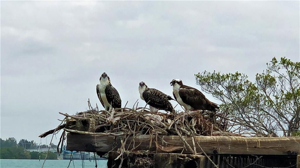 For Sale: $300,000 (1.85 acres)