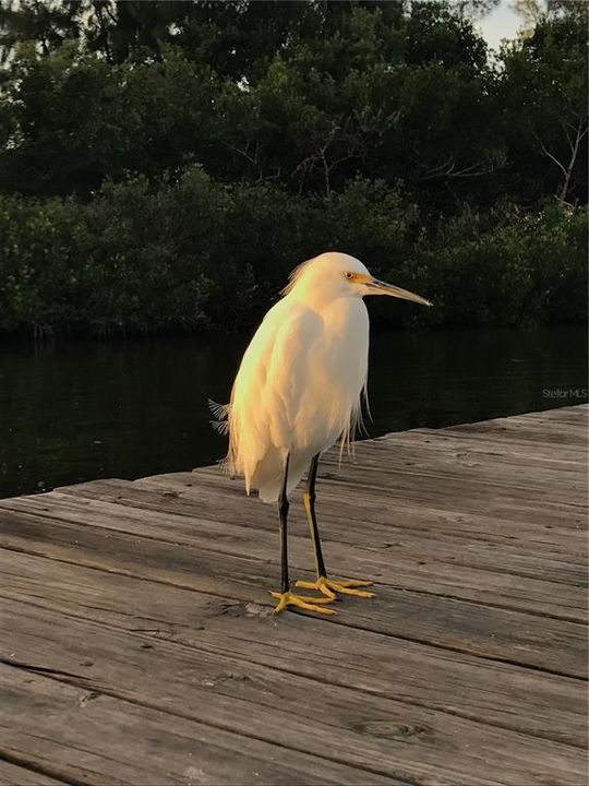 For Sale: $300,000 (1.85 acres)