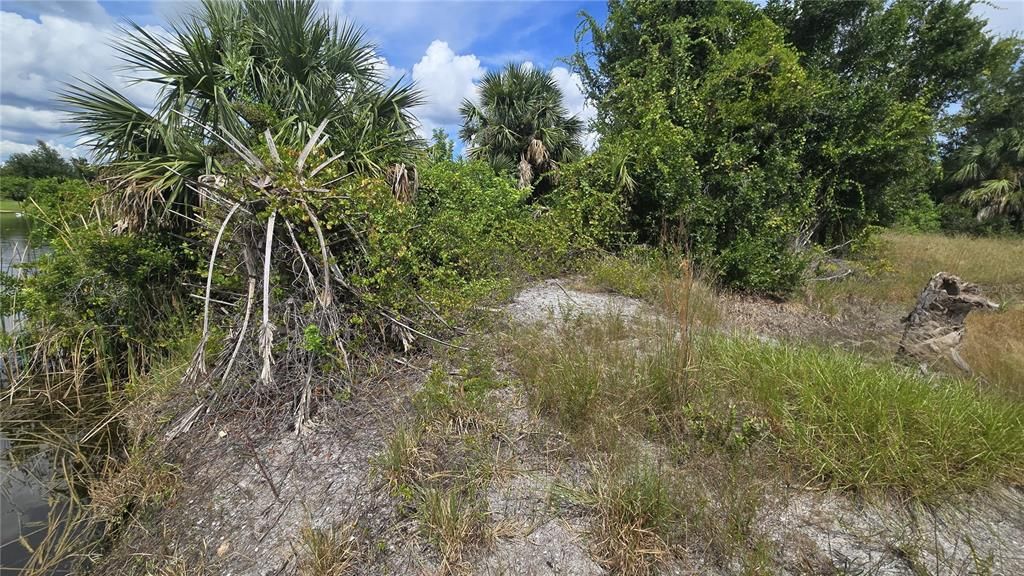 For Sale: $157,000 (0.31 acres)