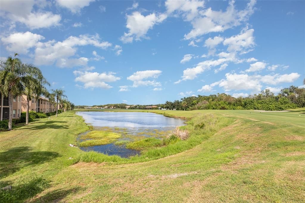 Под контрактом: $249,900 (2 спален, 2 ванн, 1316 Квадратных фут)