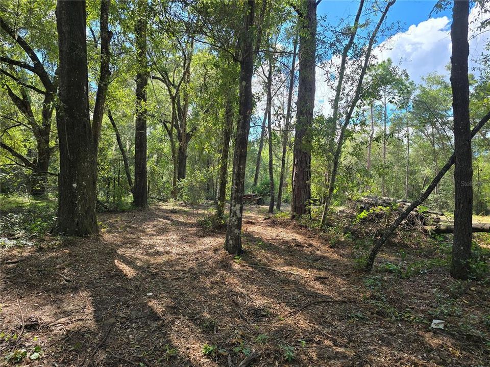 For Sale: $62,000 (1.00 acres)