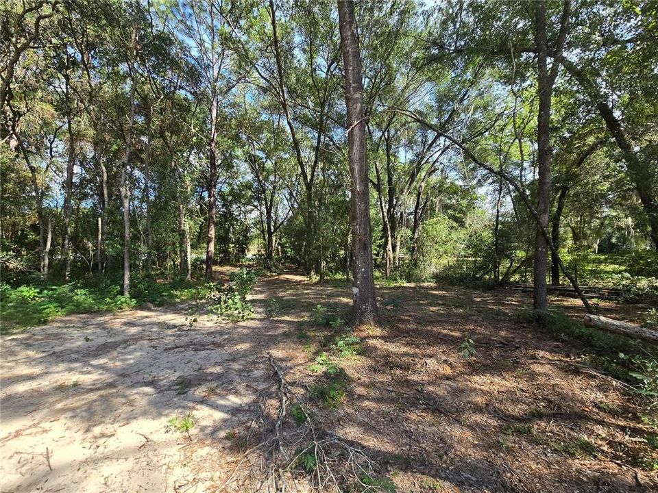 For Sale: $62,000 (1.00 acres)