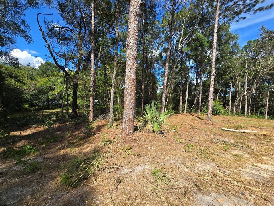 For Sale: $62,000 (1.00 acres)