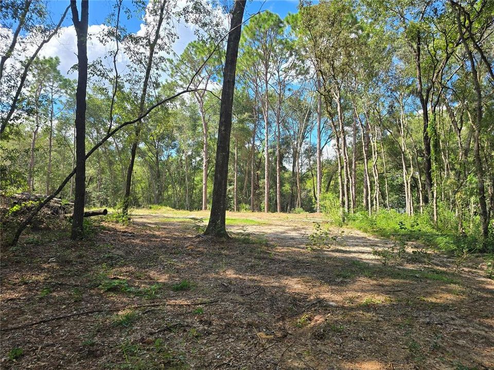 For Sale: $62,000 (1.00 acres)