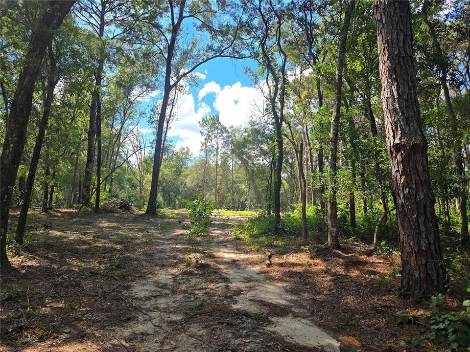 For Sale: $62,000 (1.00 acres)