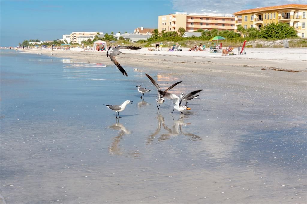 En Venta: $585,000 (3 camas, 3 baños, 1462 Pies cuadrados)