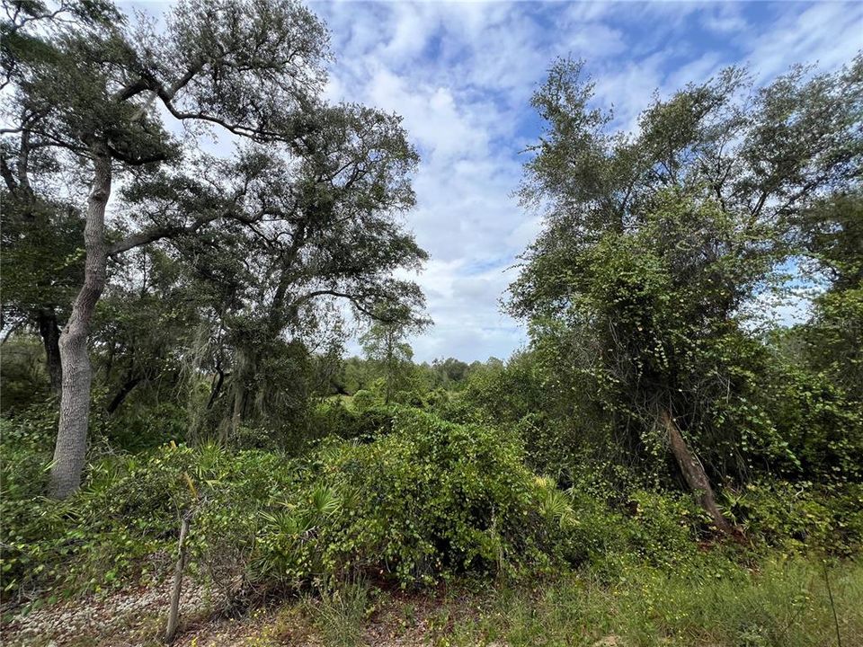 En Venta: $149,900 (4.80 acres)
