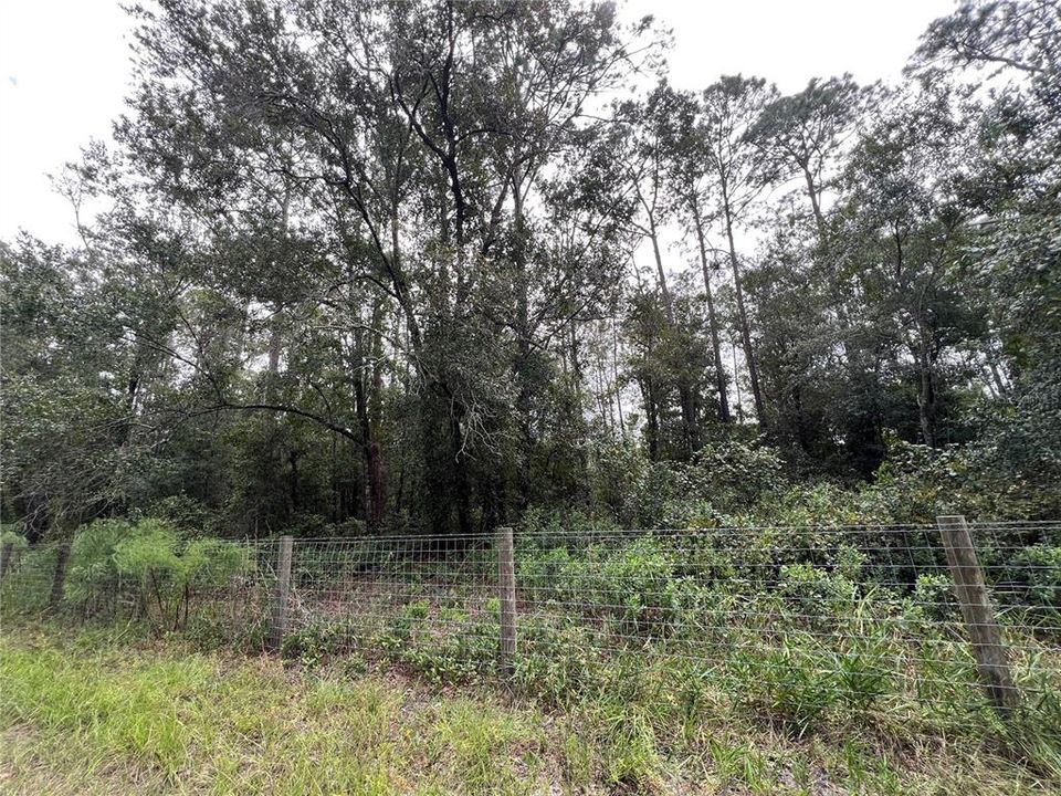 En Venta: $149,900 (4.80 acres)