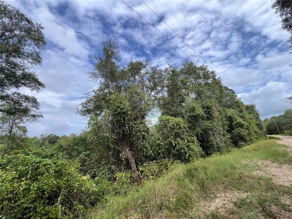 En Venta: $149,900 (4.80 acres)