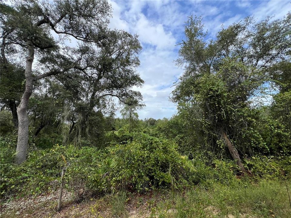 En Venta: $149,900 (4.80 acres)