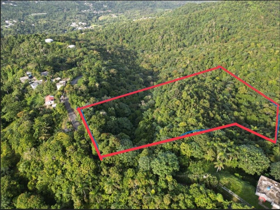 待售: $100,000 (7.00 acres)