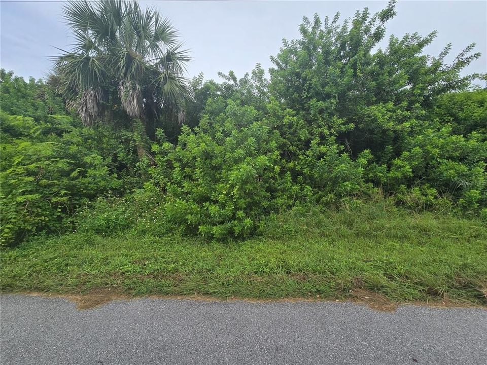 Activo con contrato: $63,000 (0.23 acres)