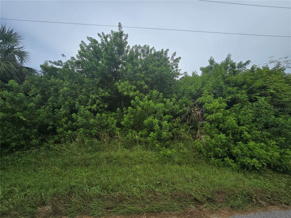 Activo con contrato: $63,000 (0.23 acres)