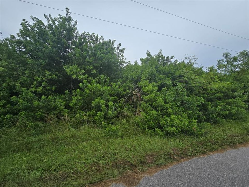 Activo con contrato: $63,000 (0.23 acres)