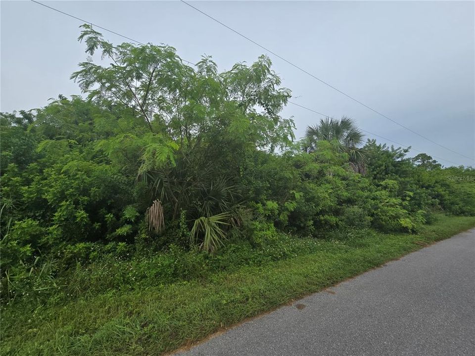 Activo con contrato: $63,000 (0.23 acres)