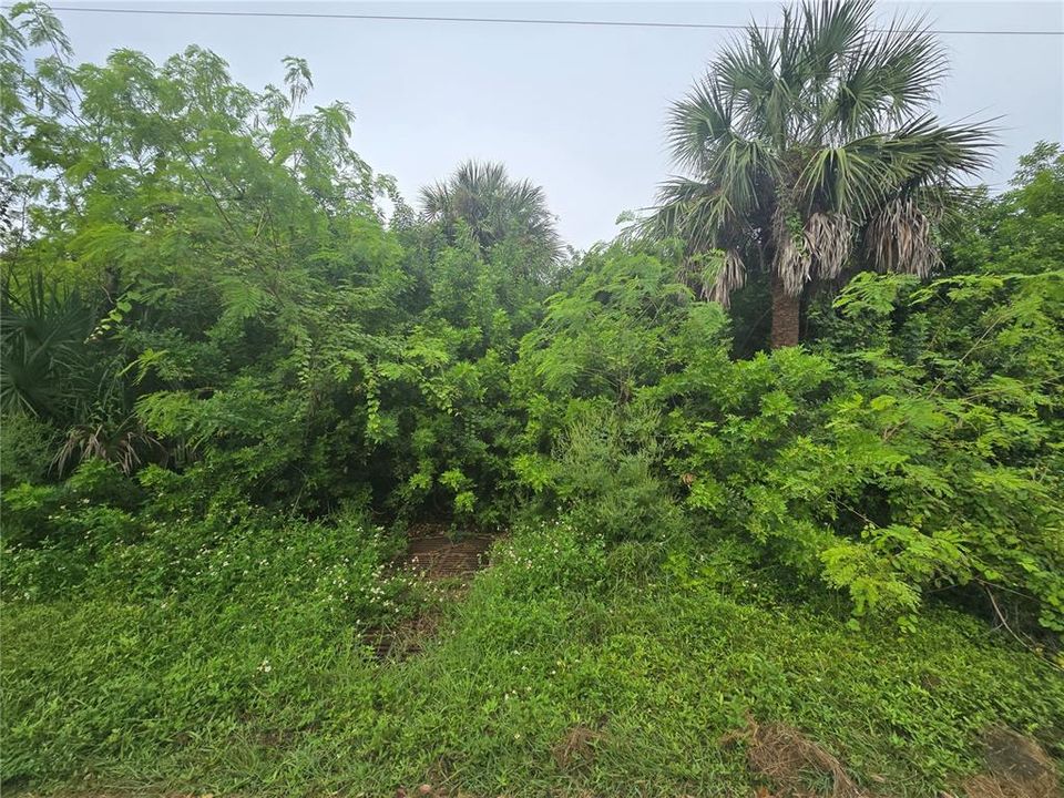 Activo con contrato: $63,000 (0.23 acres)