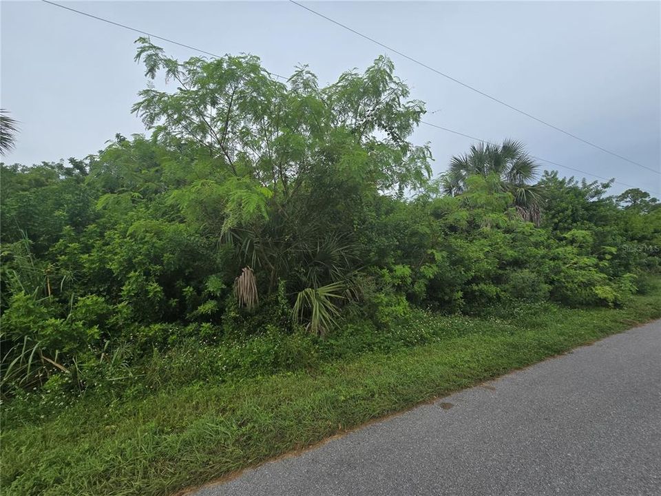 Activo con contrato: $63,000 (0.23 acres)