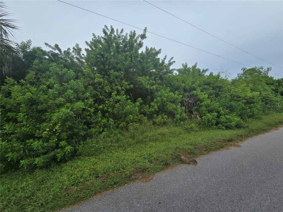 Activo con contrato: $63,000 (0.23 acres)