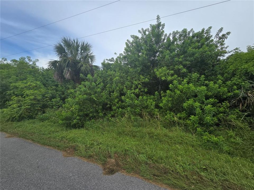 Activo con contrato: $63,000 (0.23 acres)