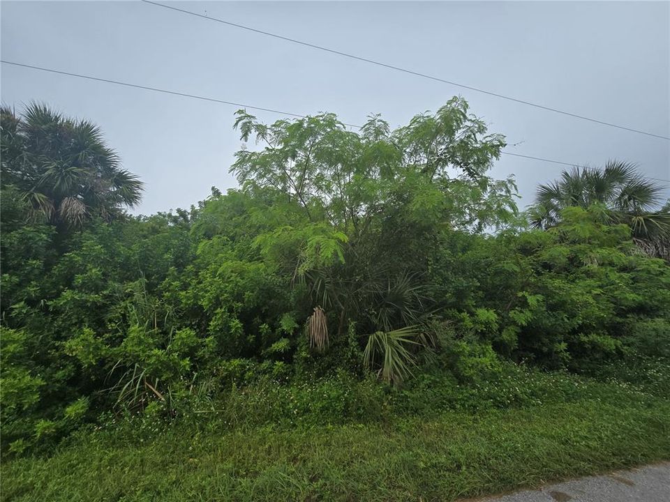 Activo con contrato: $63,000 (0.23 acres)