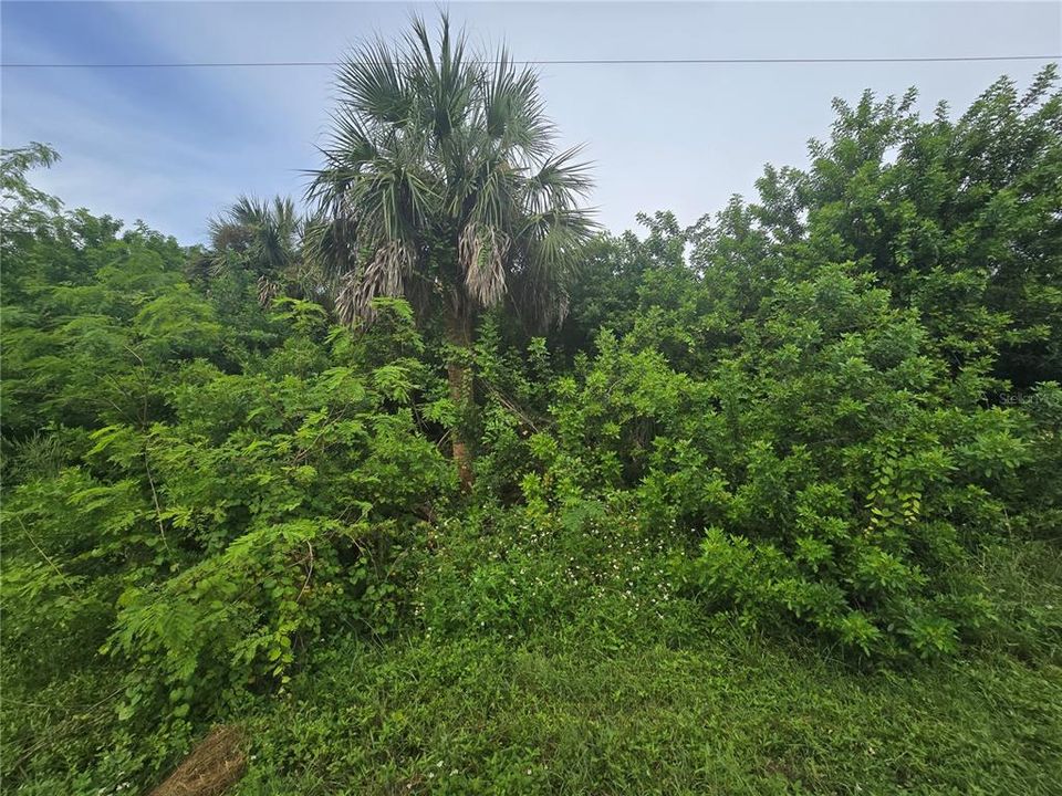 Activo con contrato: $63,000 (0.23 acres)