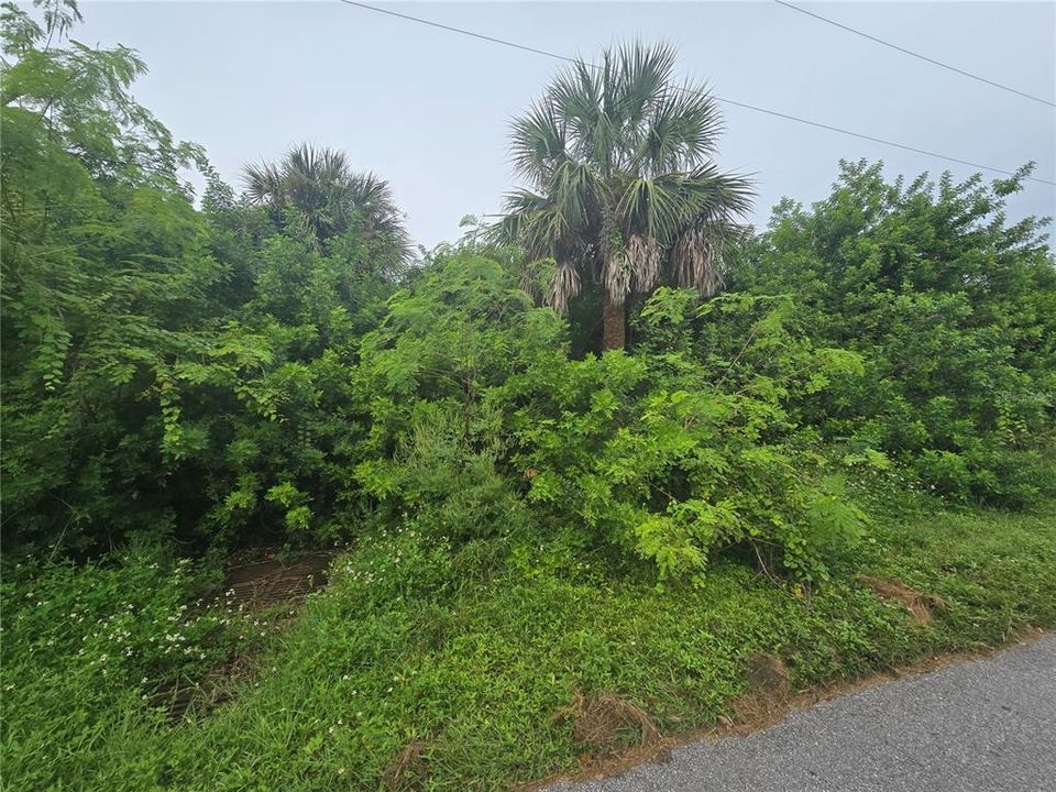 Activo con contrato: $63,000 (0.23 acres)