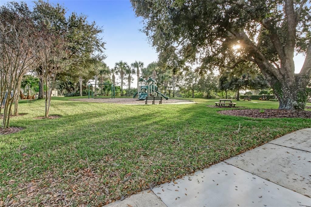 Под контрактом: $319,000 (0.56 acres)