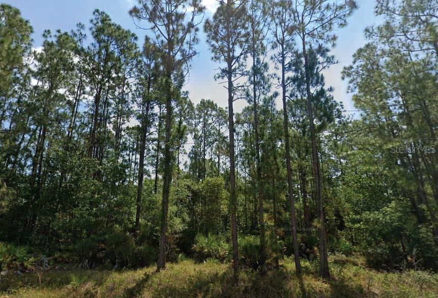 Недавно продано: $9,500 (0.23 acres)