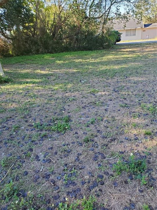 待售: $99,900 (0.46 acres)