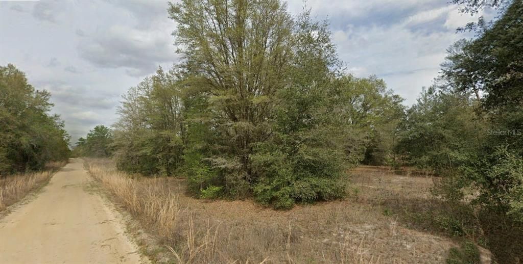 For Sale: $8,000 (0.22 acres)