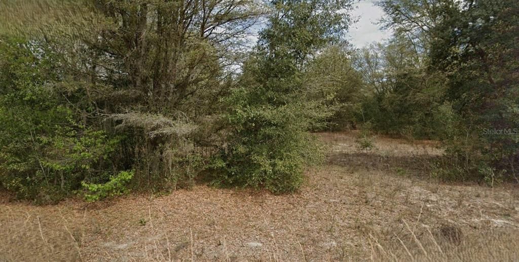 For Sale: $8,000 (0.22 acres)