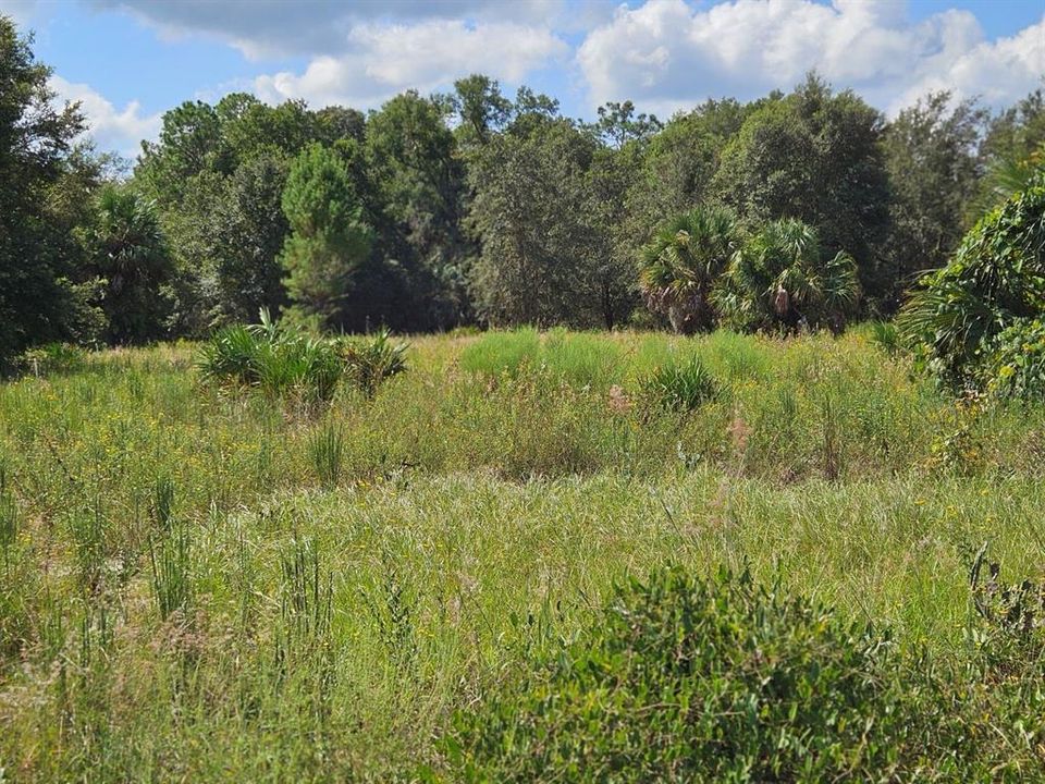 Recently Sold: $132,500 (4.26 acres)