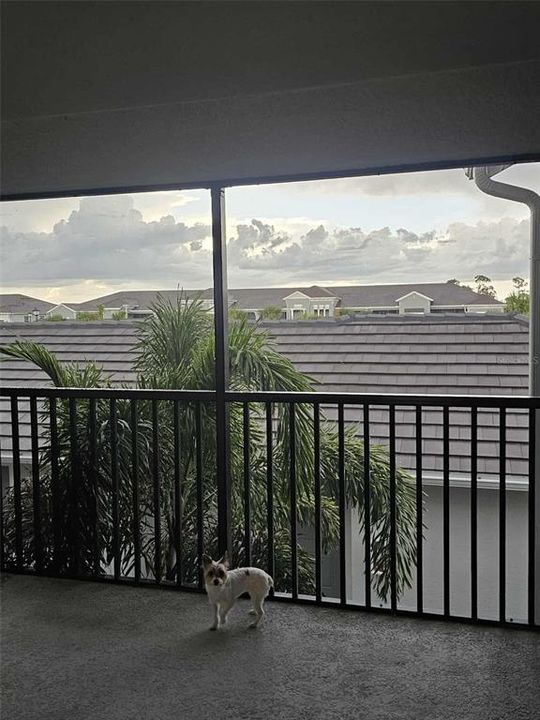 En Renta: $4,000 (2 camas, 2 baños, 1569 Pies cuadrados)