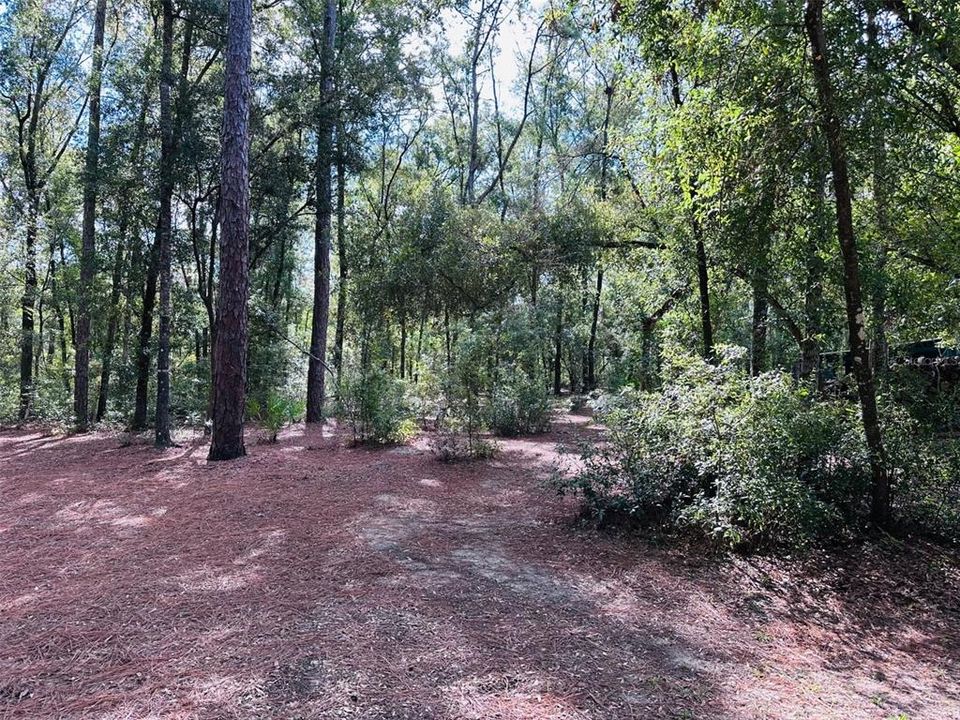 For Sale: $94,500 (2.41 acres)