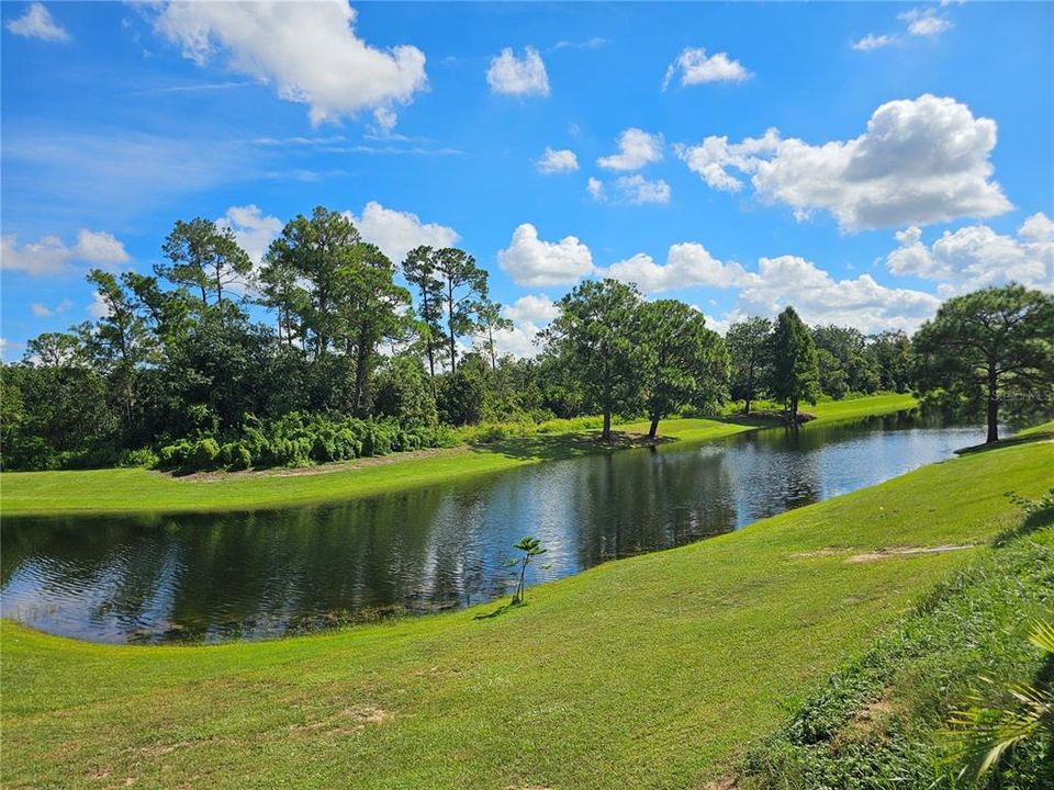 Под контрактом: $367,110 (3 спален, 2 ванн, 1657 Квадратных фут)