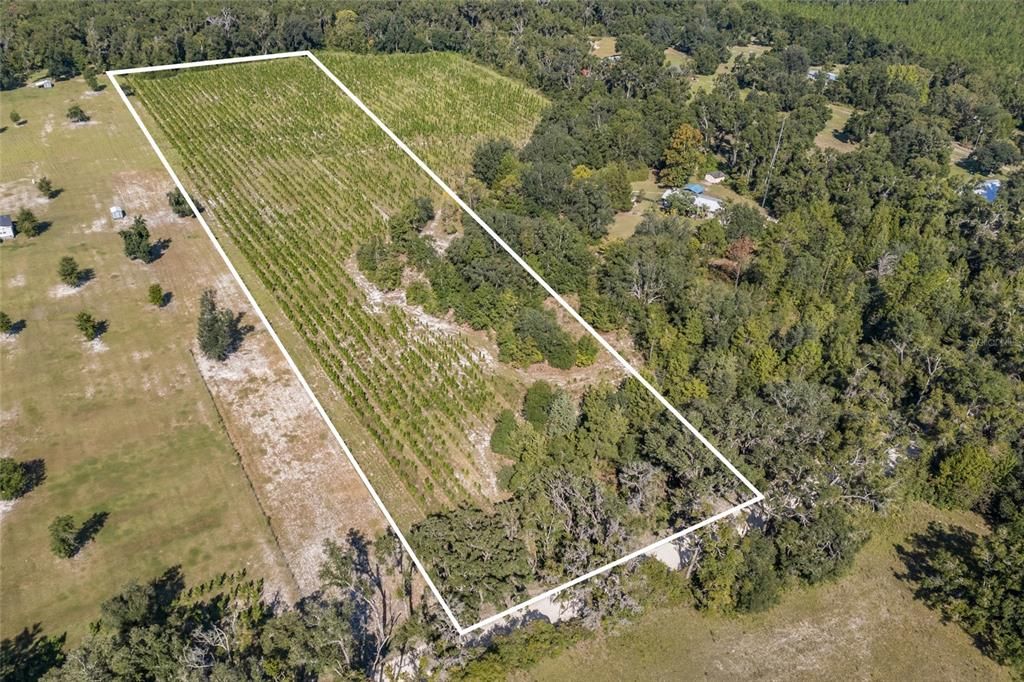 Recently Sold: $139,000 (10.00 acres)