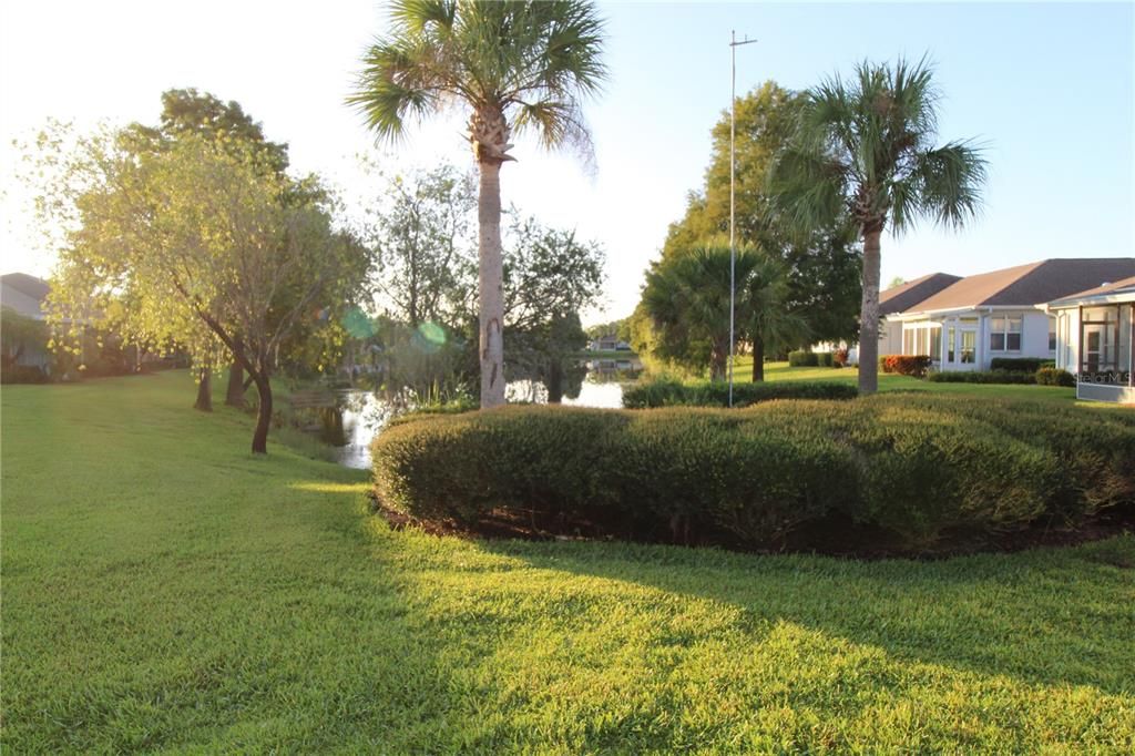 出租: $2,000 (2 贝兹, 2 浴室, 974 平方英尺)