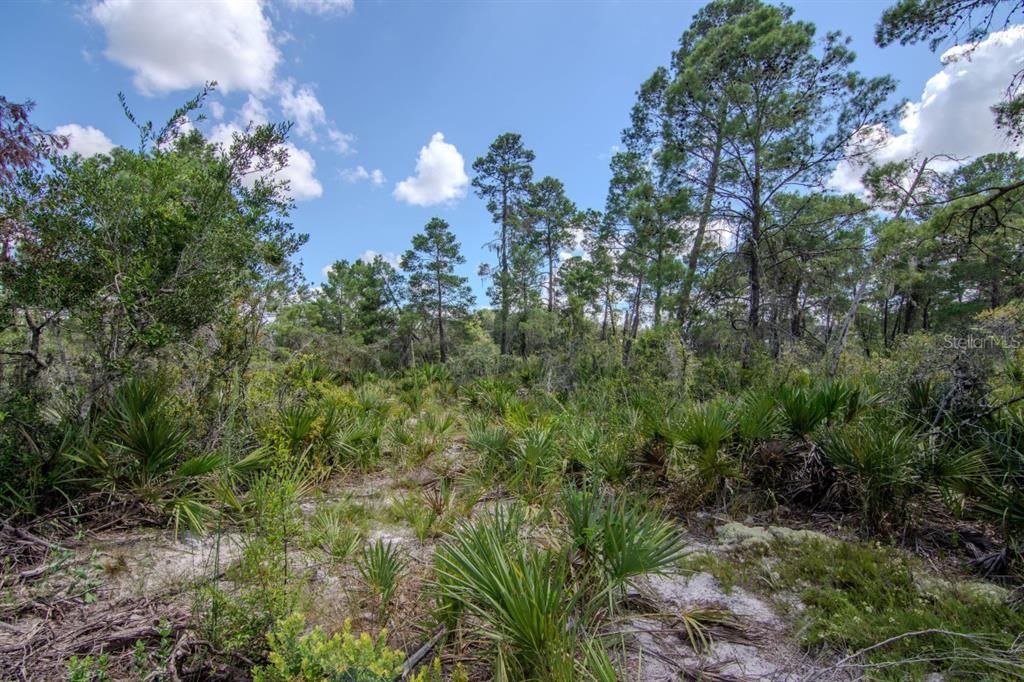 На продажу: $279,900 (3 спален, 2 ванн, 1493 Квадратных фут)