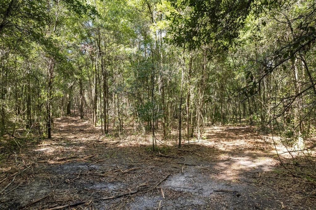 Active With Contract: $1,950,000 (16.26 acres)