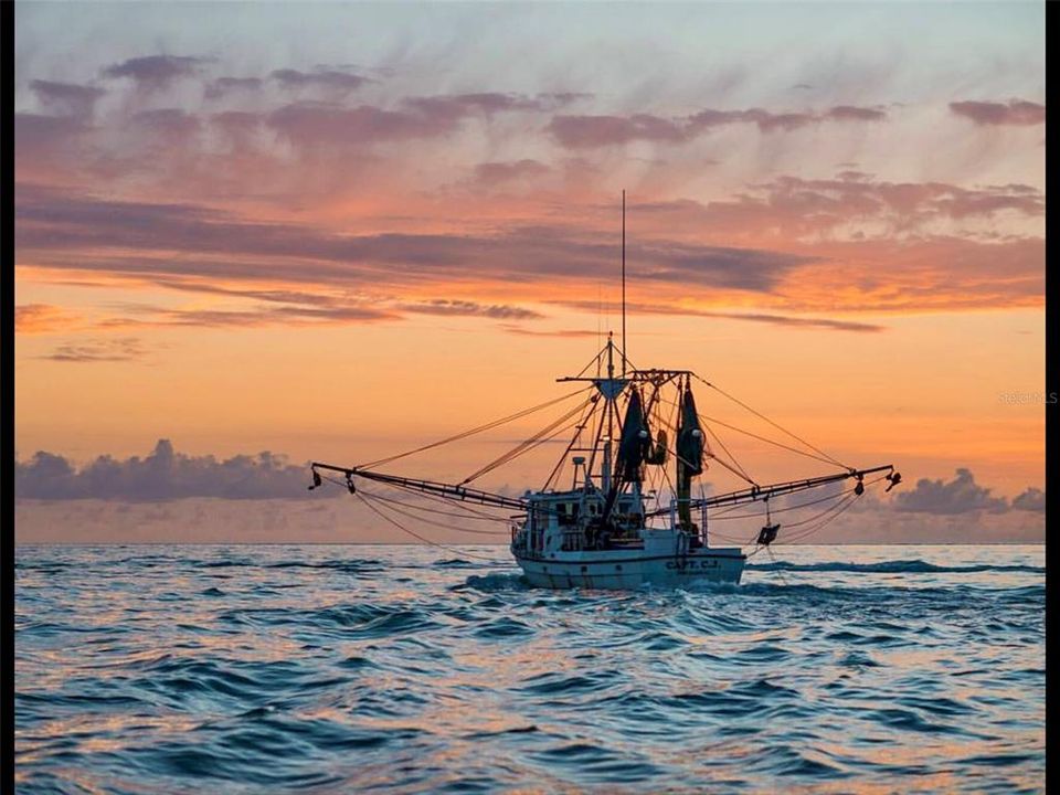 For Sale: $1,350,000 (2 beds, 2 baths, 1586 Square Feet)