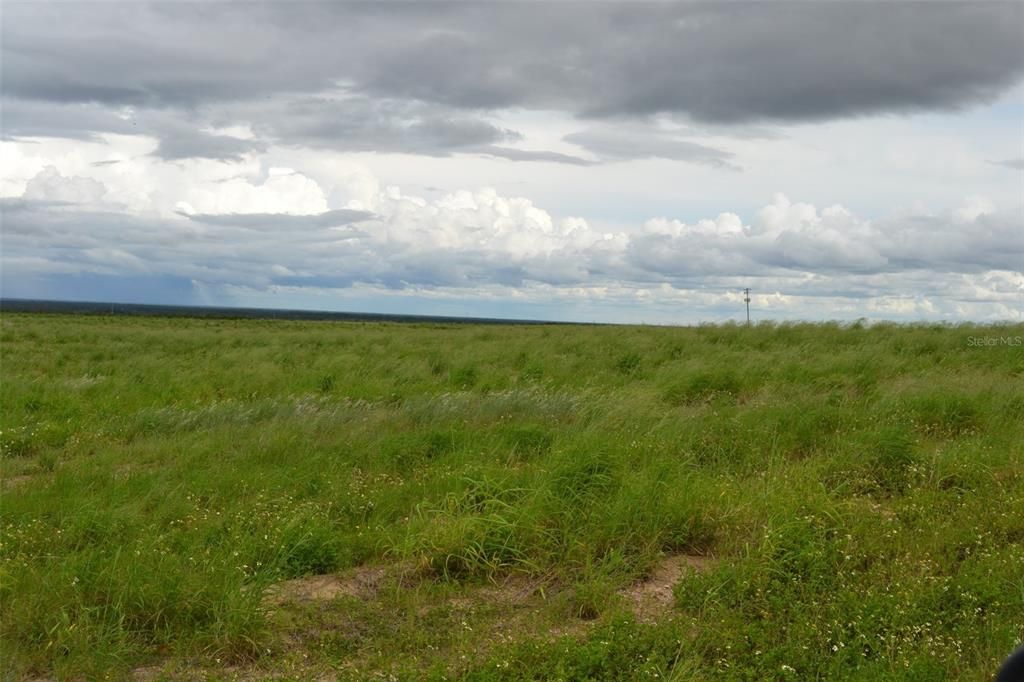 For Sale: $1,368,500 (39.00 acres)