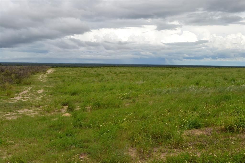 For Sale: $1,368,500 (39.00 acres)