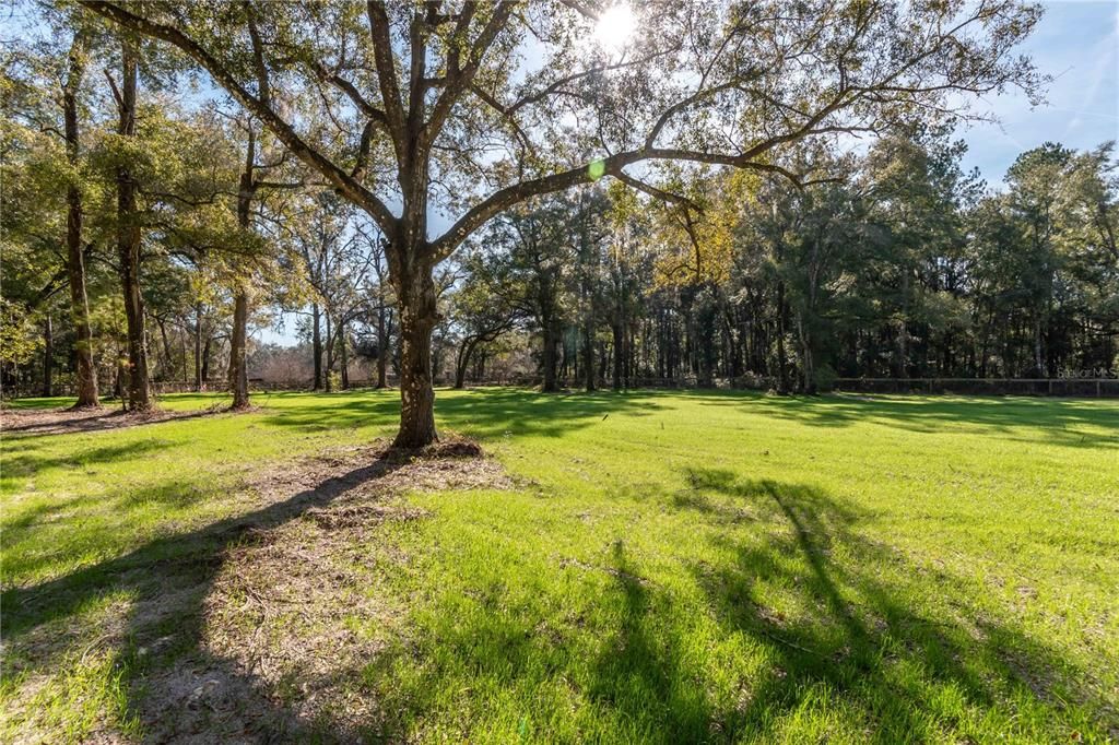 For Sale: $250,000 (3.00 acres)