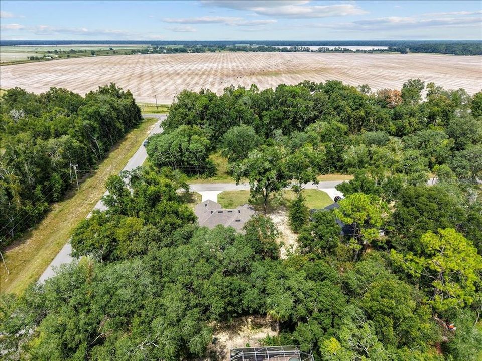 待售: $339,000 (3 贝兹, 2 浴室, 1552 平方英尺)