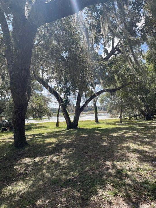 En Venta: $65,000 (0.45 acres)