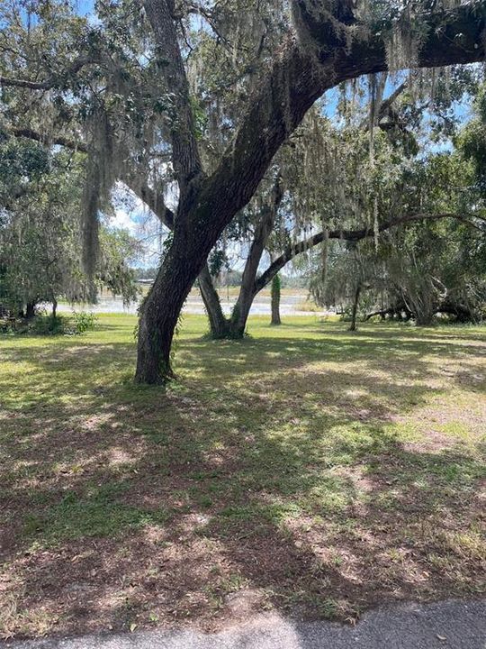 En Venta: $65,000 (0.45 acres)