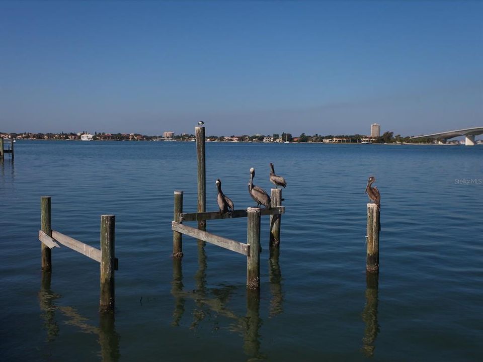 Active With Contract: $4,500 (2 beds, 2 baths, 1396 Square Feet)