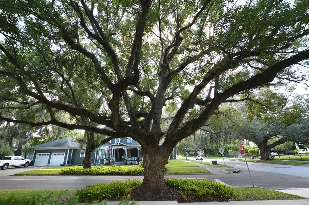 For Sale: $615,000 (4 beds, 3 baths, 3124 Square Feet)