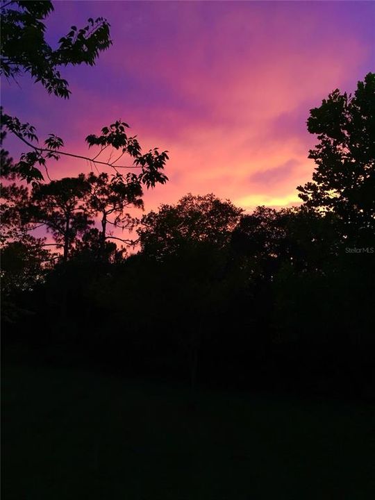 待售: $791,000 (2 贝兹, 1 浴室, 1624 平方英尺)