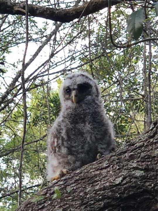 待售: $791,000 (2 贝兹, 1 浴室, 1624 平方英尺)